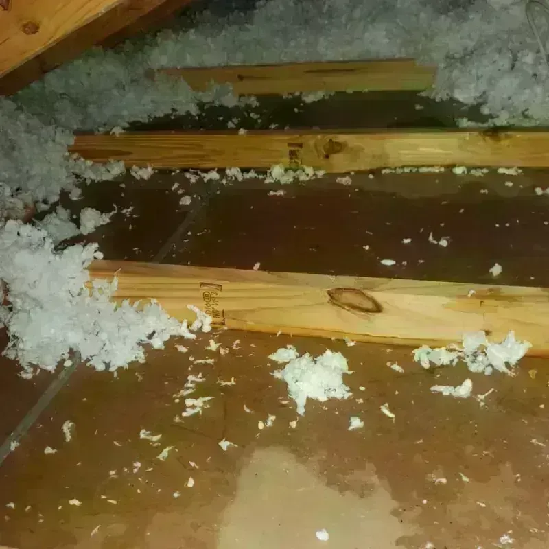 Attic Water Damage in East Spencer, NC