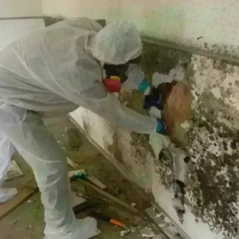 Mold Remediation and Removal in East Spencer, NC