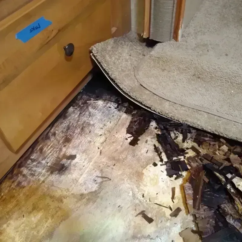 Wood Floor Water Damage in East Spencer, NC